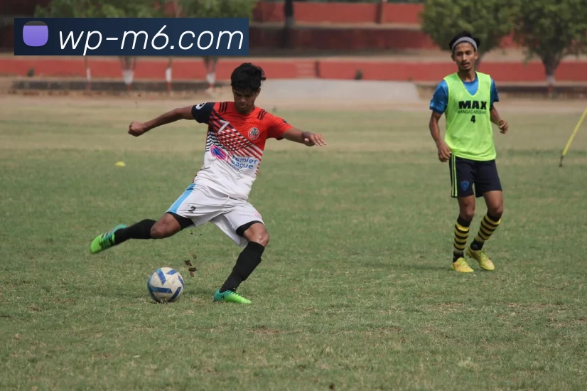 M15体育投注平台APP 封面图